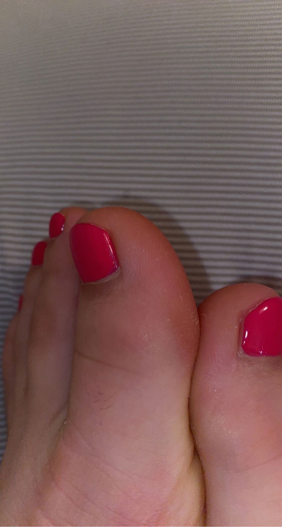 Piggies on the market's avatar