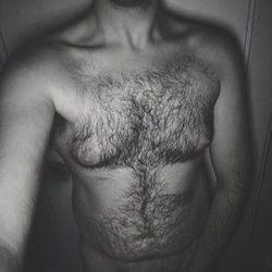 Bottom Teddy Bear's avatar