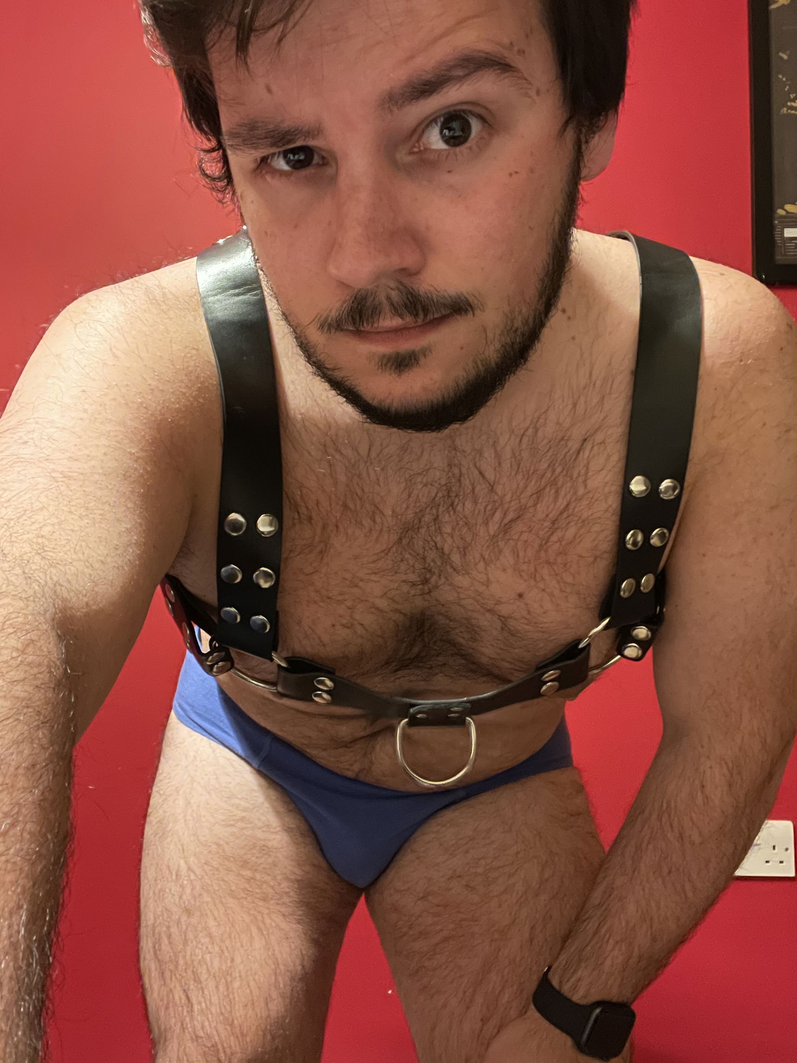Teddy bear Lx's avatar