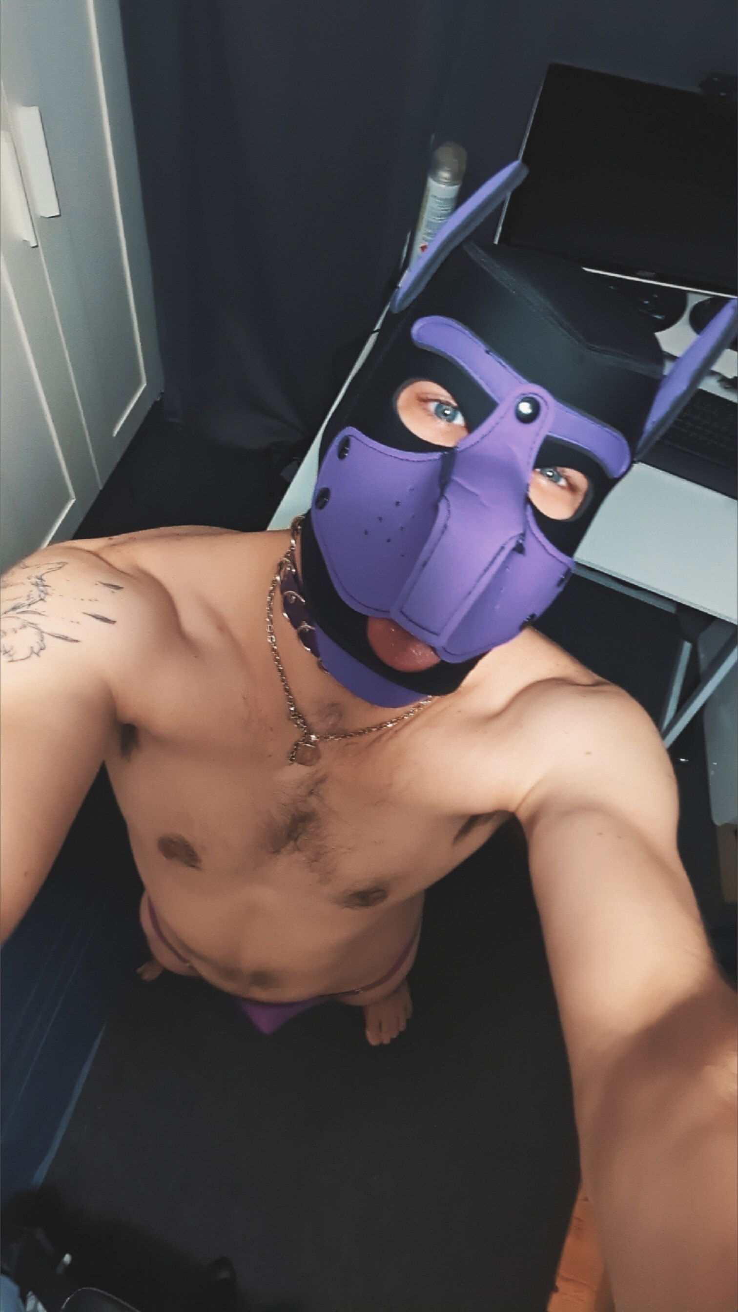 🦊 Tekime 🦊's avatar