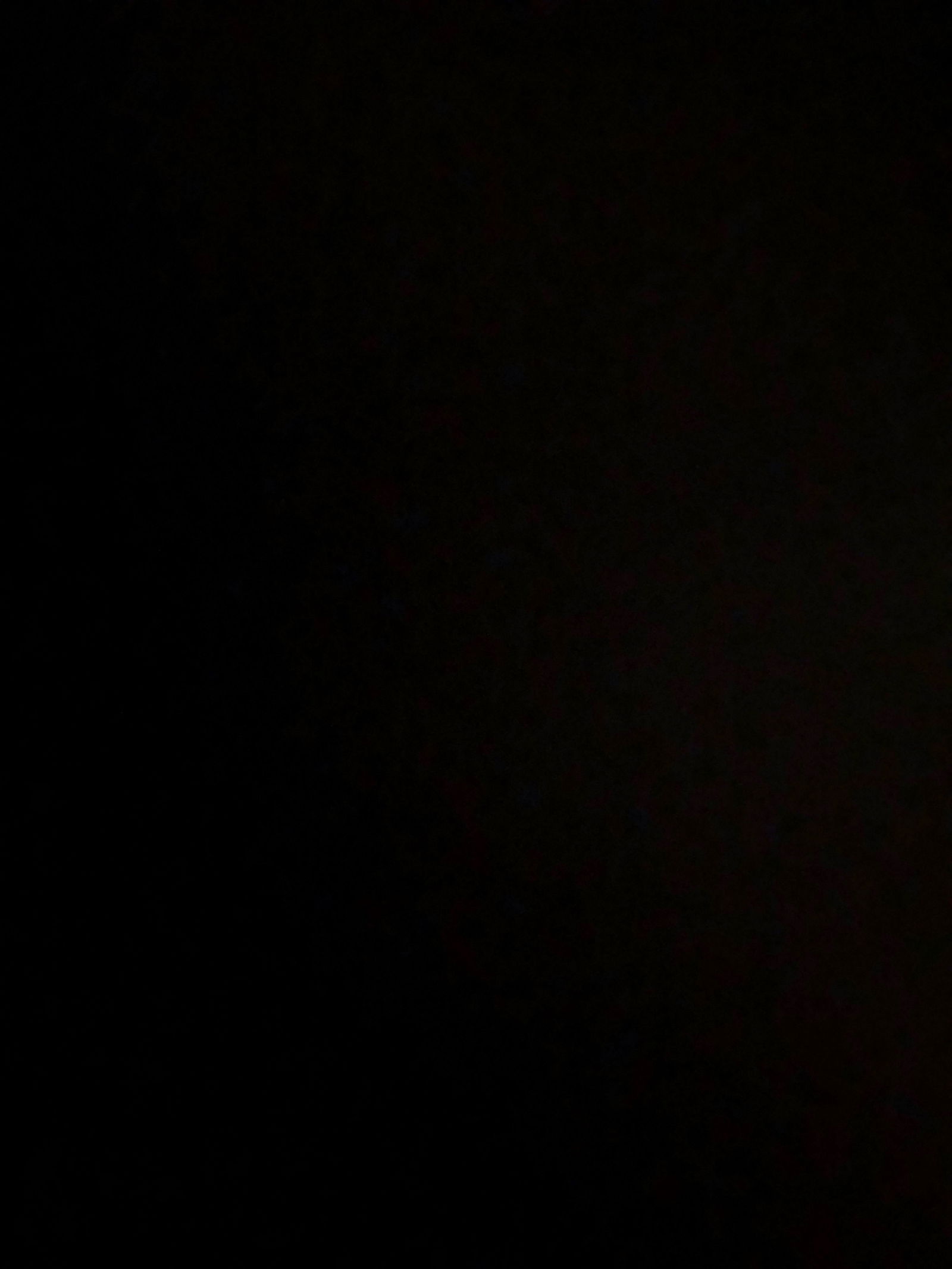Chubby Girl
