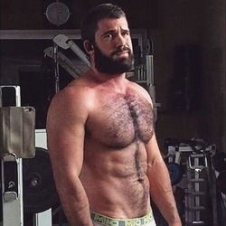 The Alpha Dad's avatar