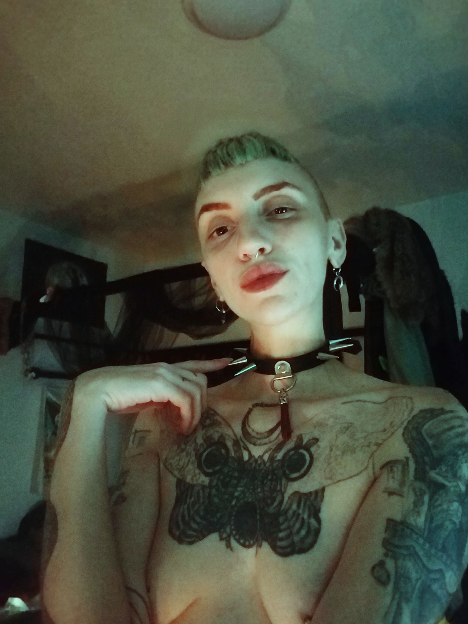 Vesper  -they/them-'s avatar