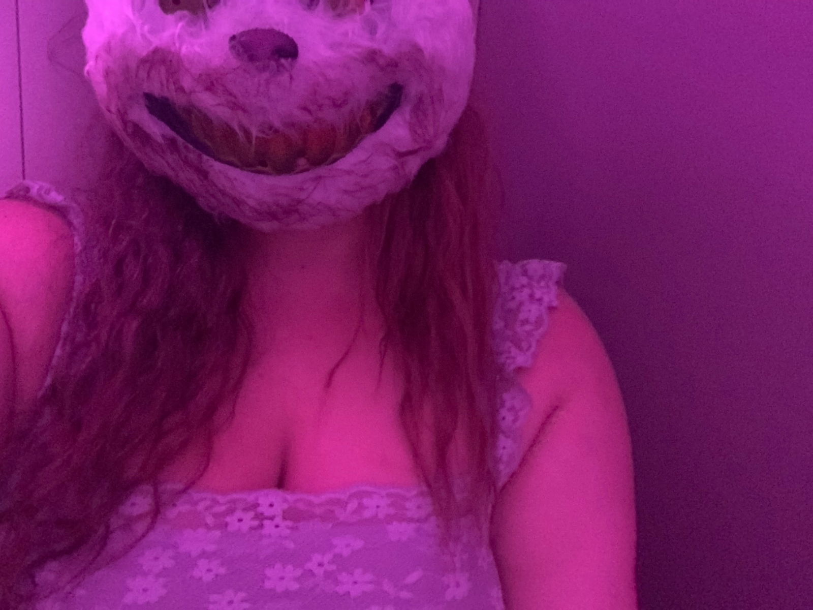 The Bunny's avatar