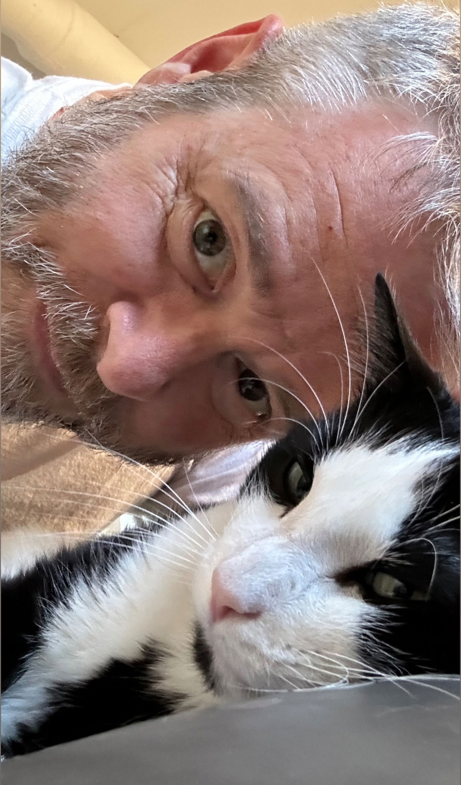 The Cat Dad's avatar