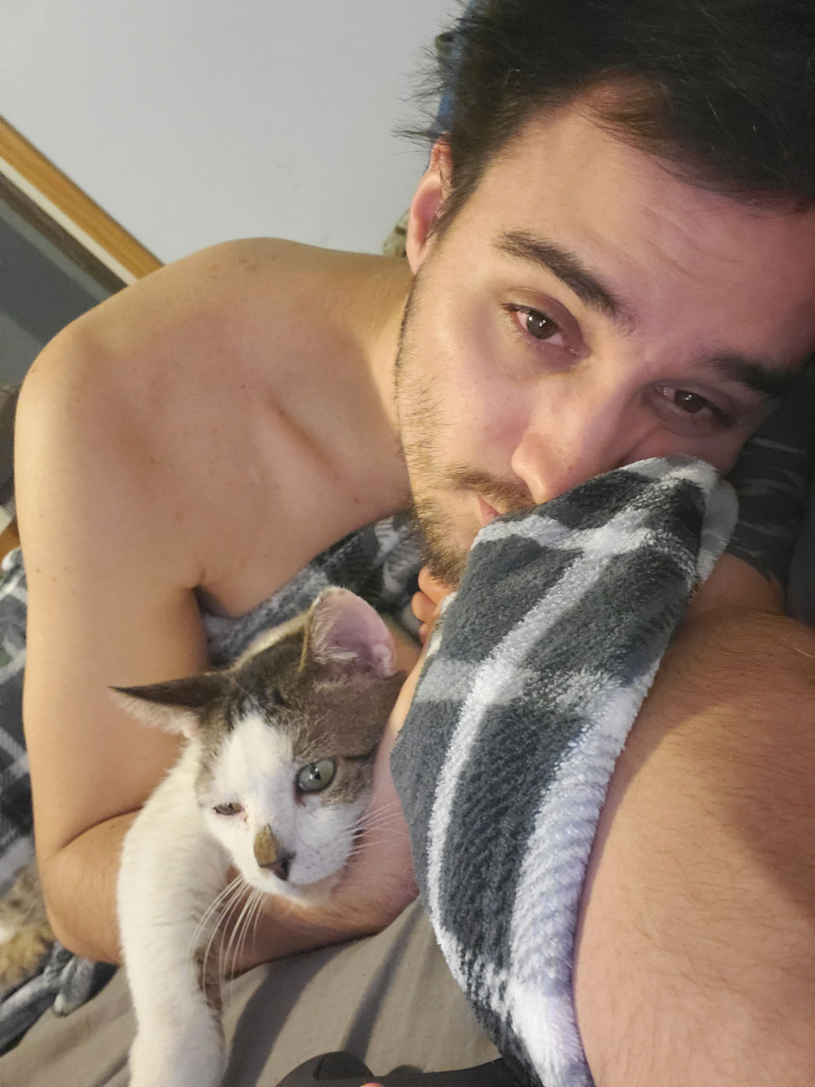 Dyrus's avatar