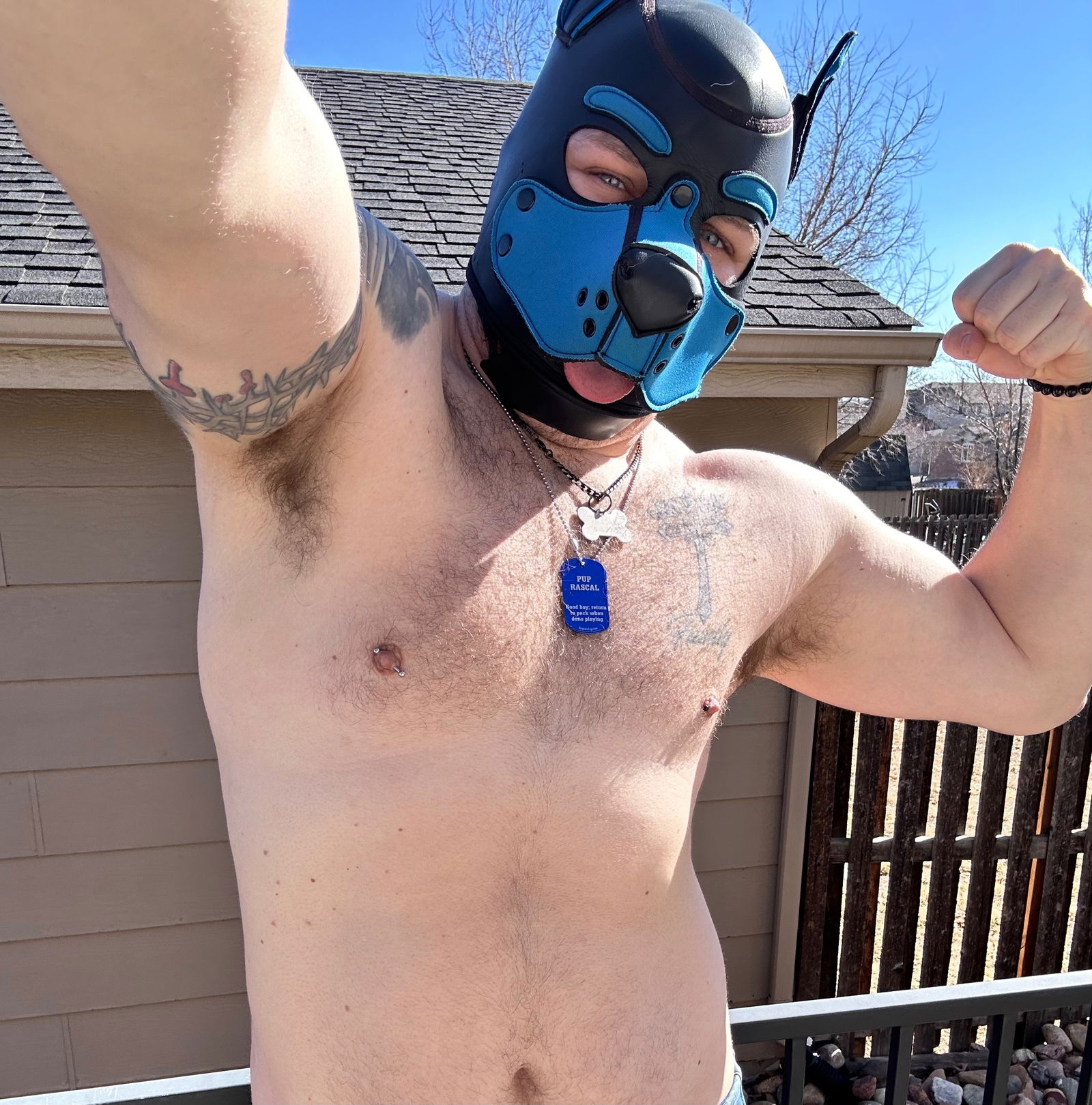 Pup Rascal's avatar