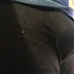 The Scottish Dom's avatar