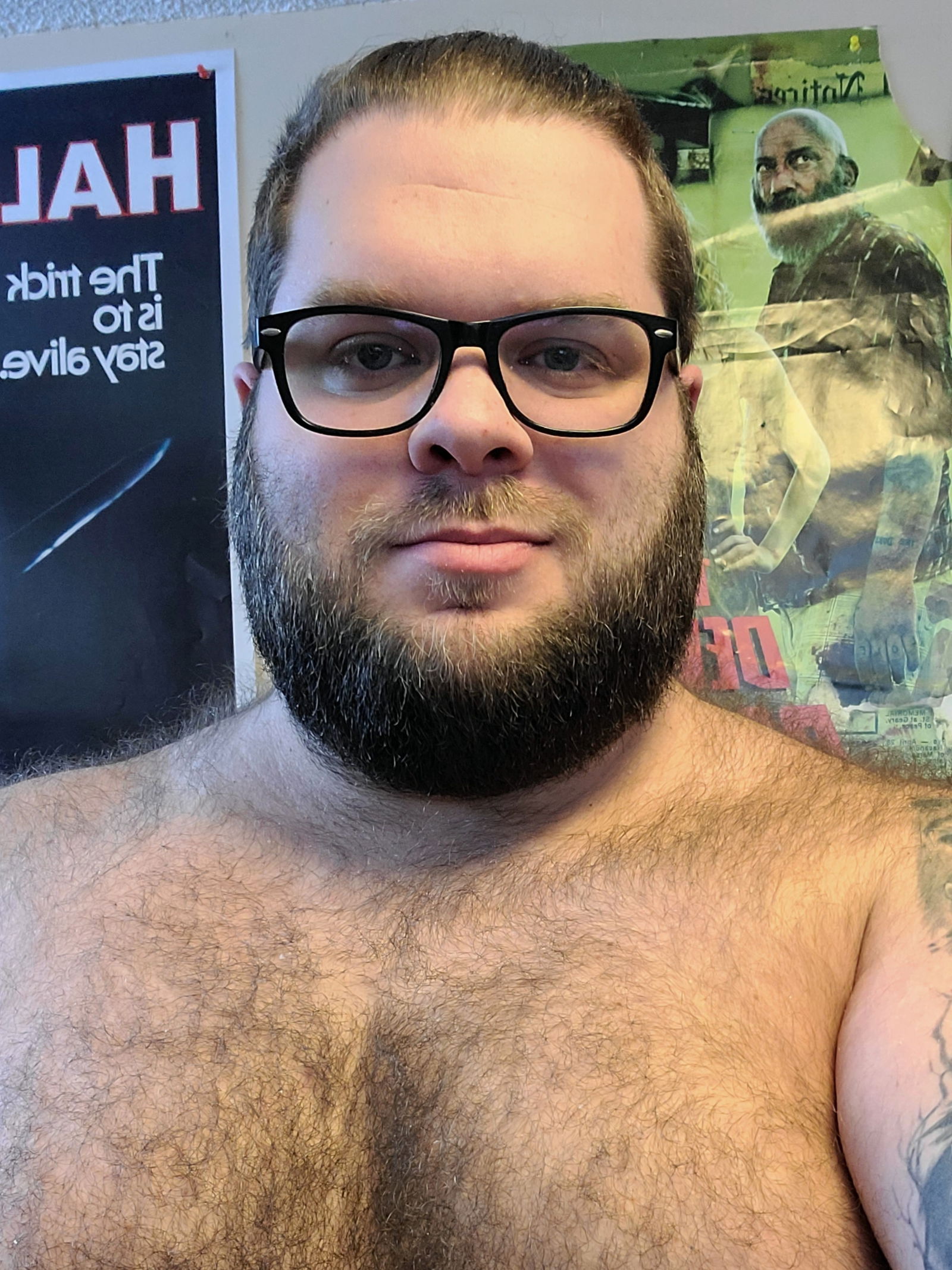 TheStraightBear's avatar