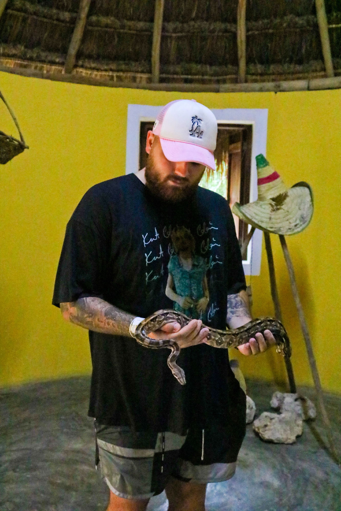 Tasty Chef's avatar