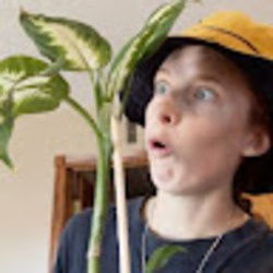 Spagoodle Noodleoodle's avatar