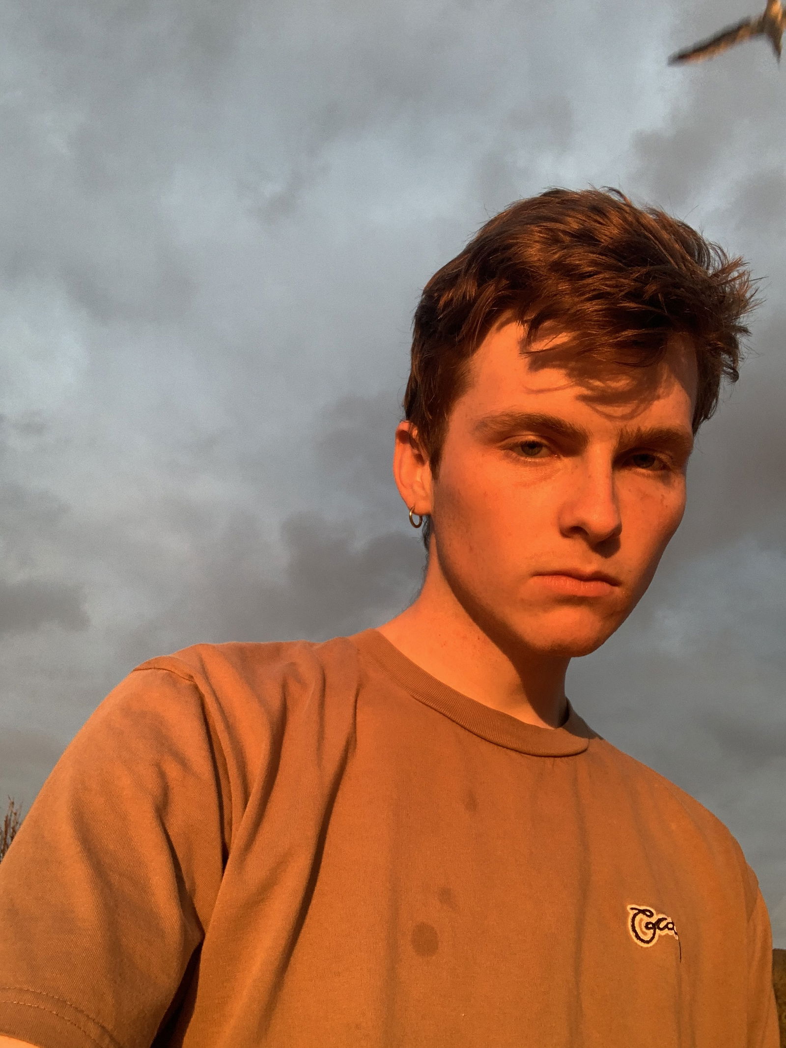 Timmy's avatar