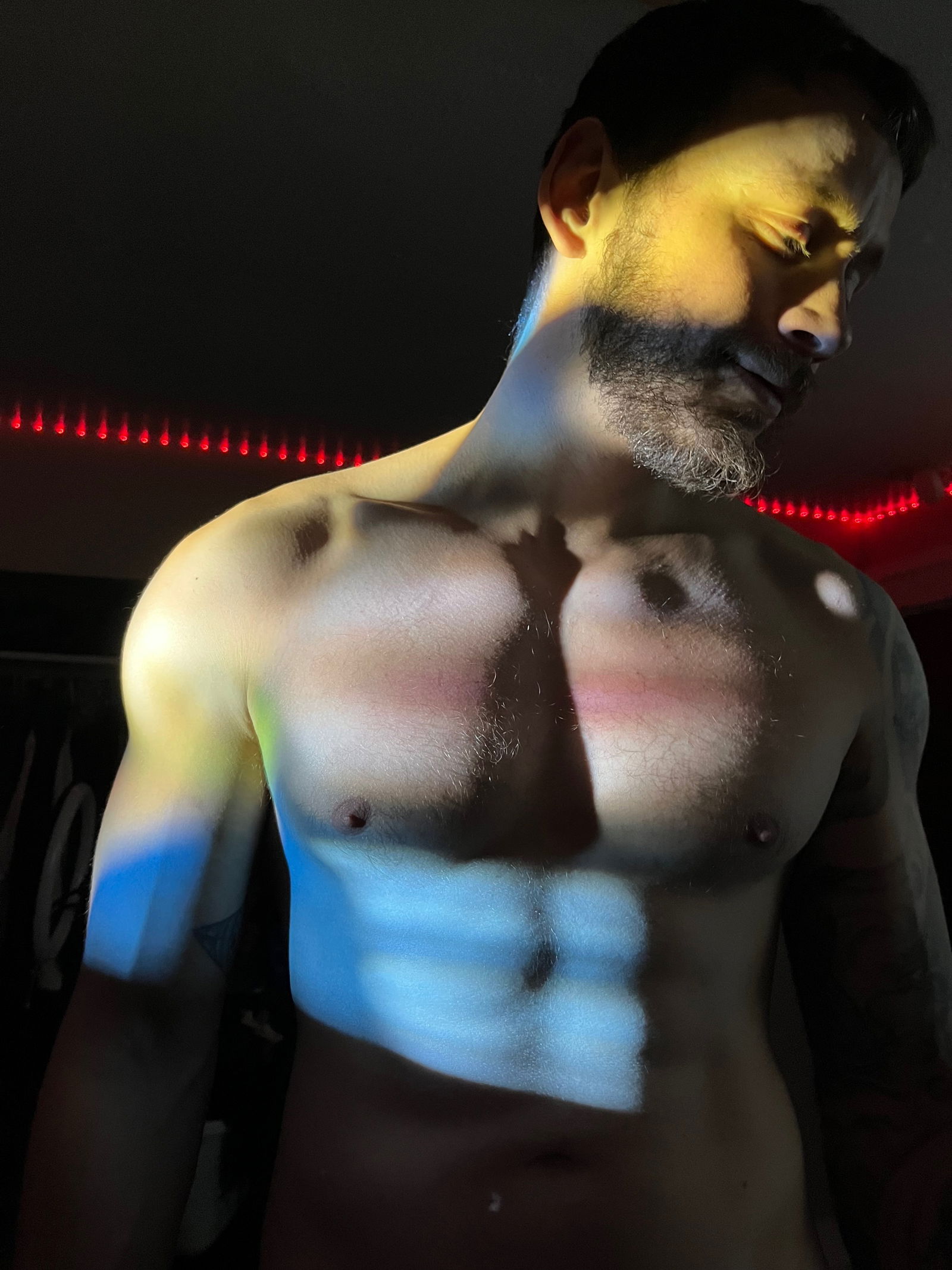 Tim's avatar