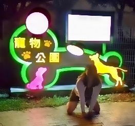玫瑰調教園｜人型女犬畜生日記 Human Livestock Life's avatar