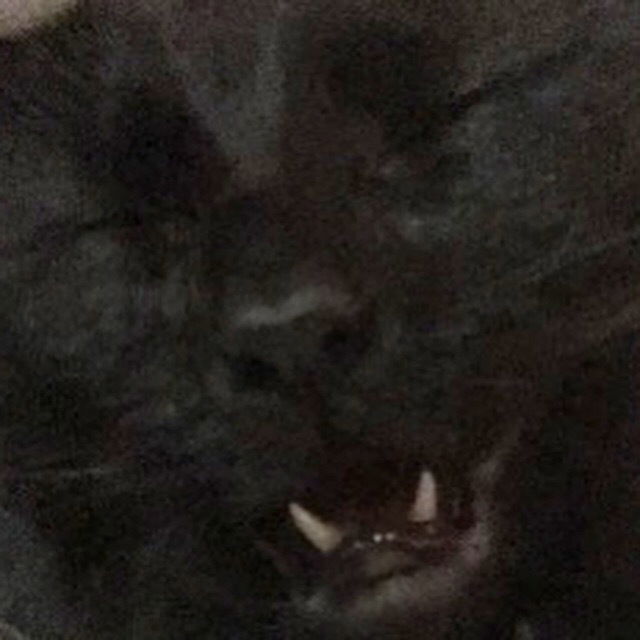 Trashy's avatar