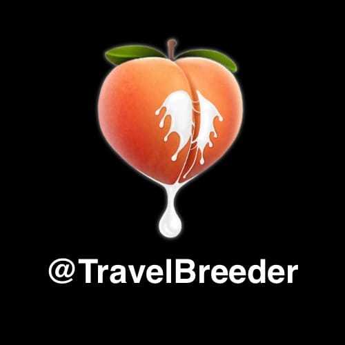 Travel Breeder's avatar