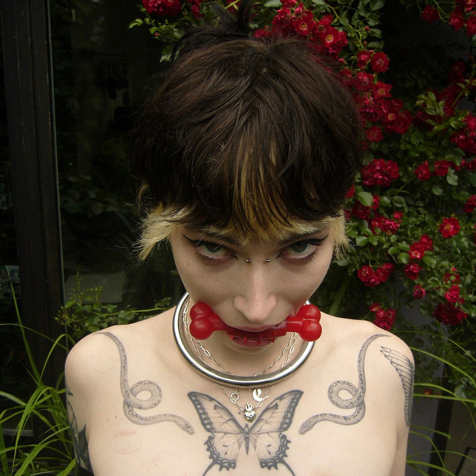 ✧𝕿𝖗𝖎𝖘𝖘✧