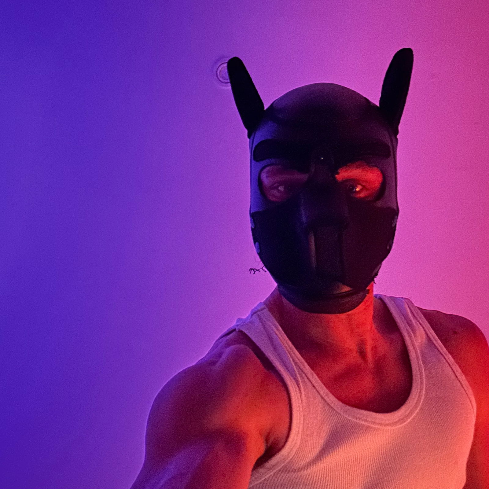 Trykybon 😈's avatar