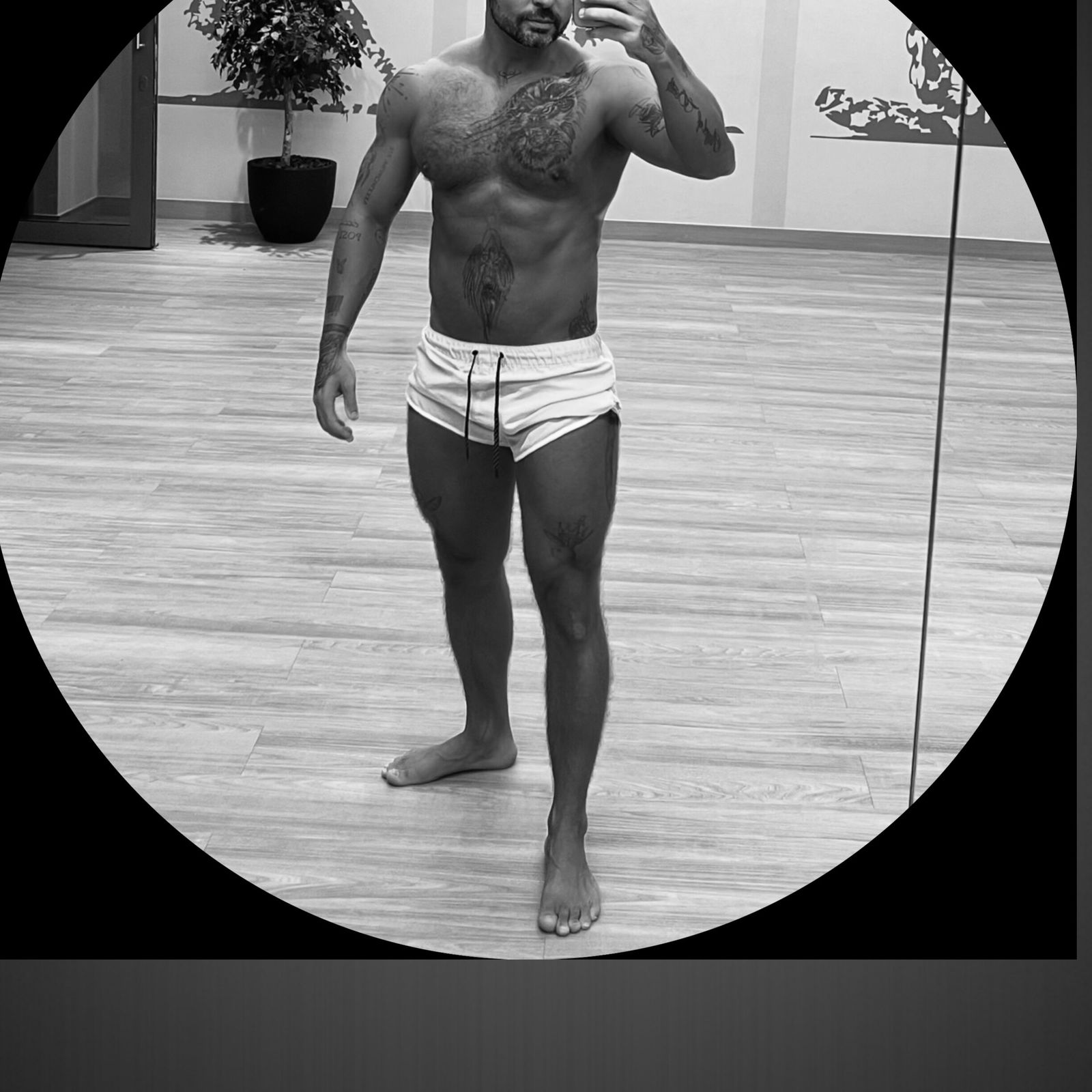 turkishboy's avatar
