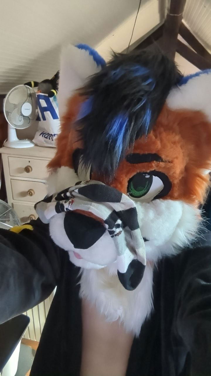 TwinkFoxySocks's avatar