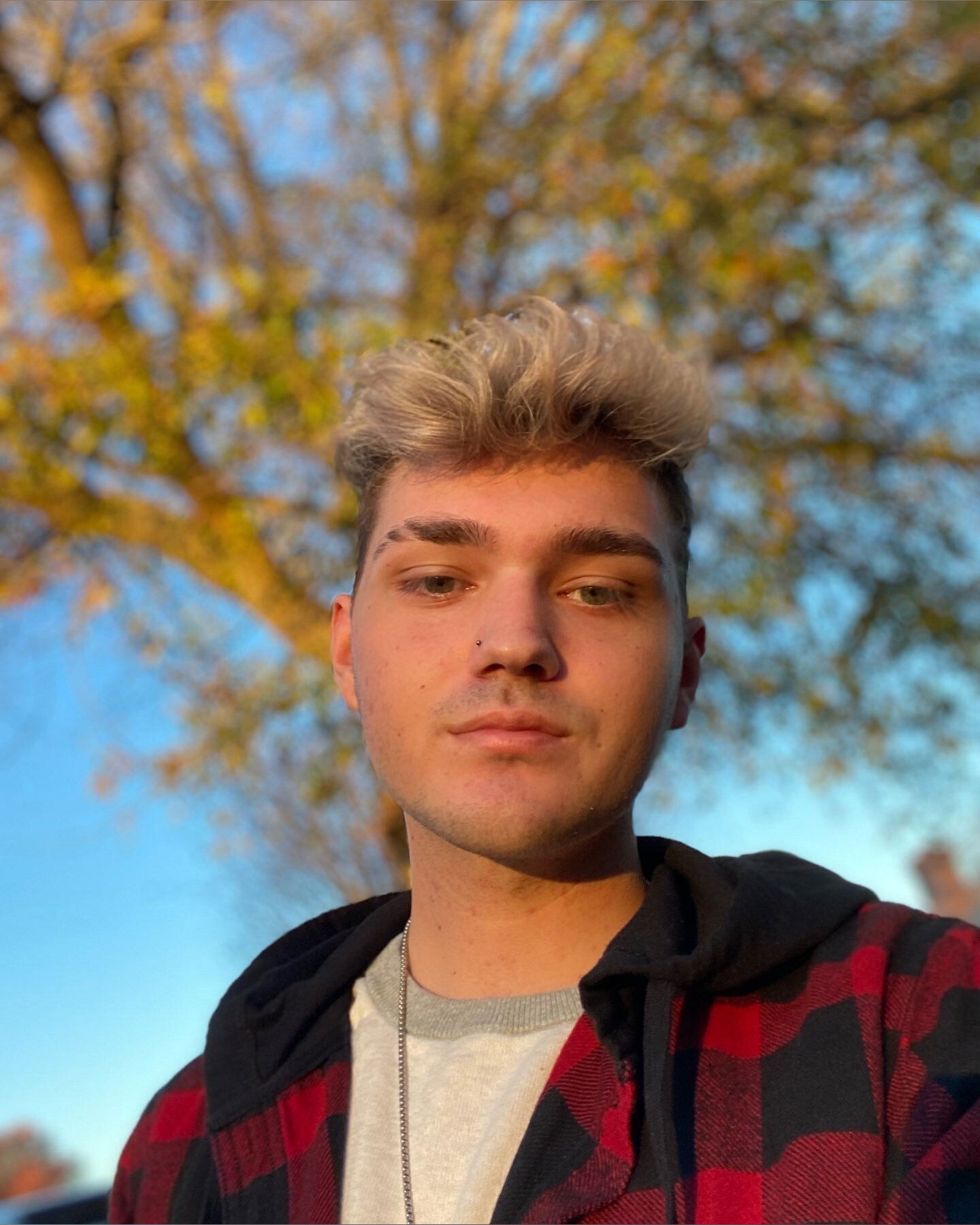 Tristen