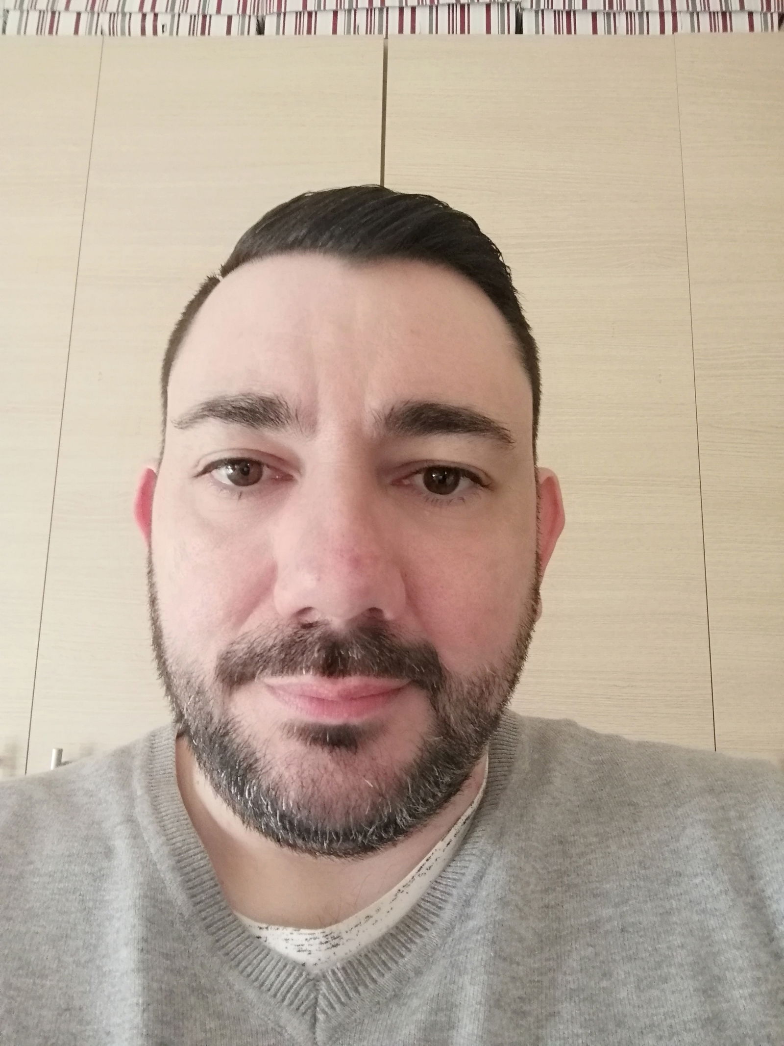 FAT BEAR's avatar