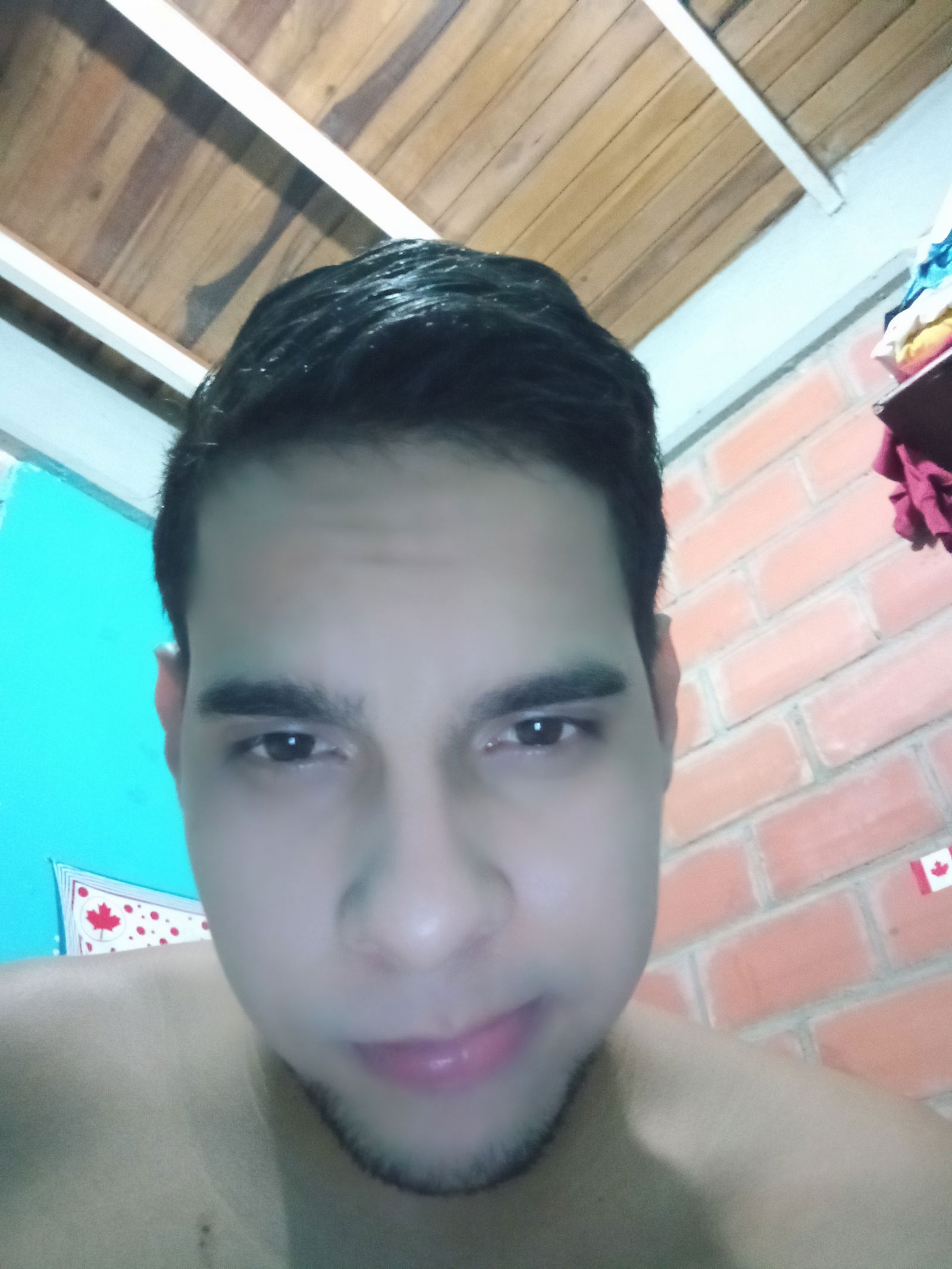 José Daniel Peralta Pérez's avatar