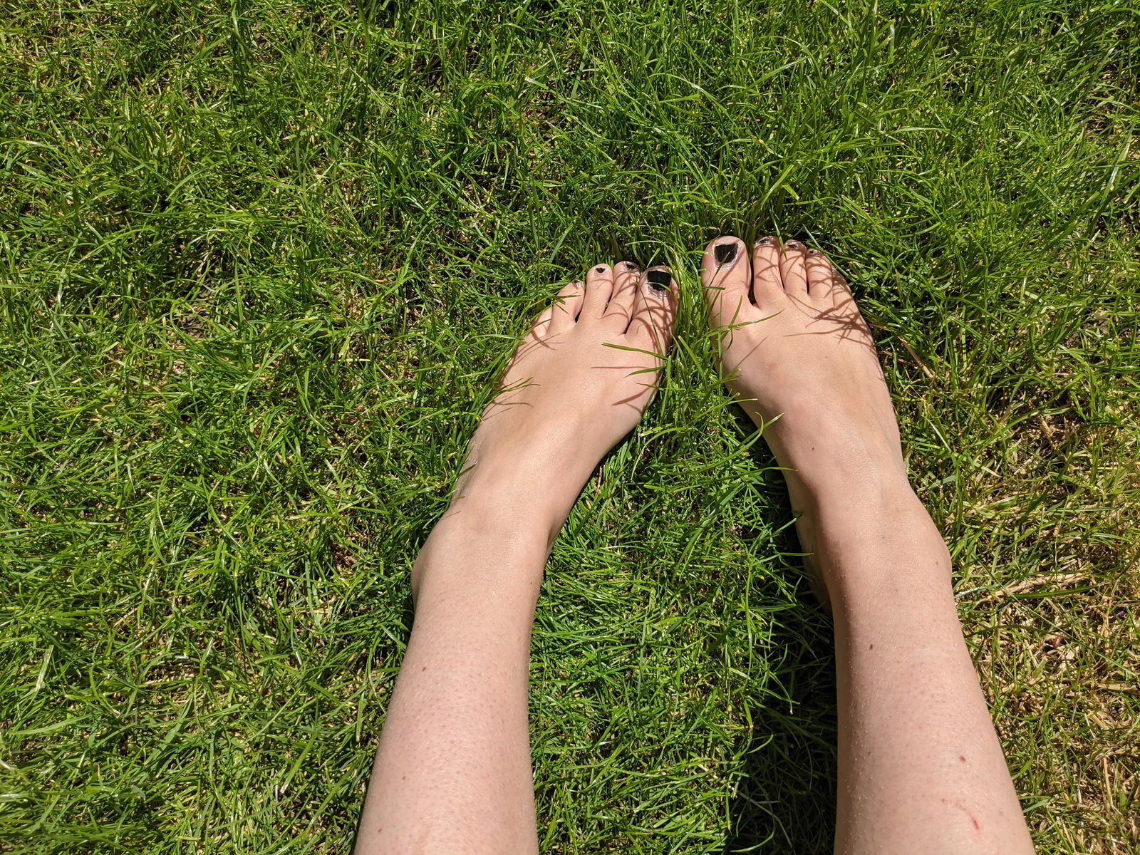 Barefoot Bunny's avatar