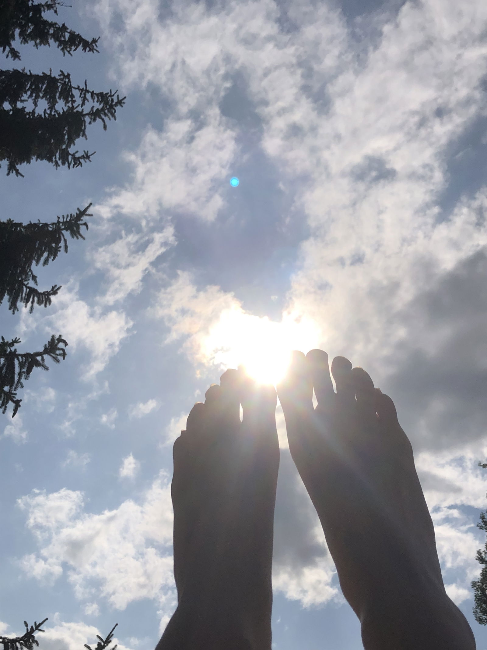 FeetFamily's avatar