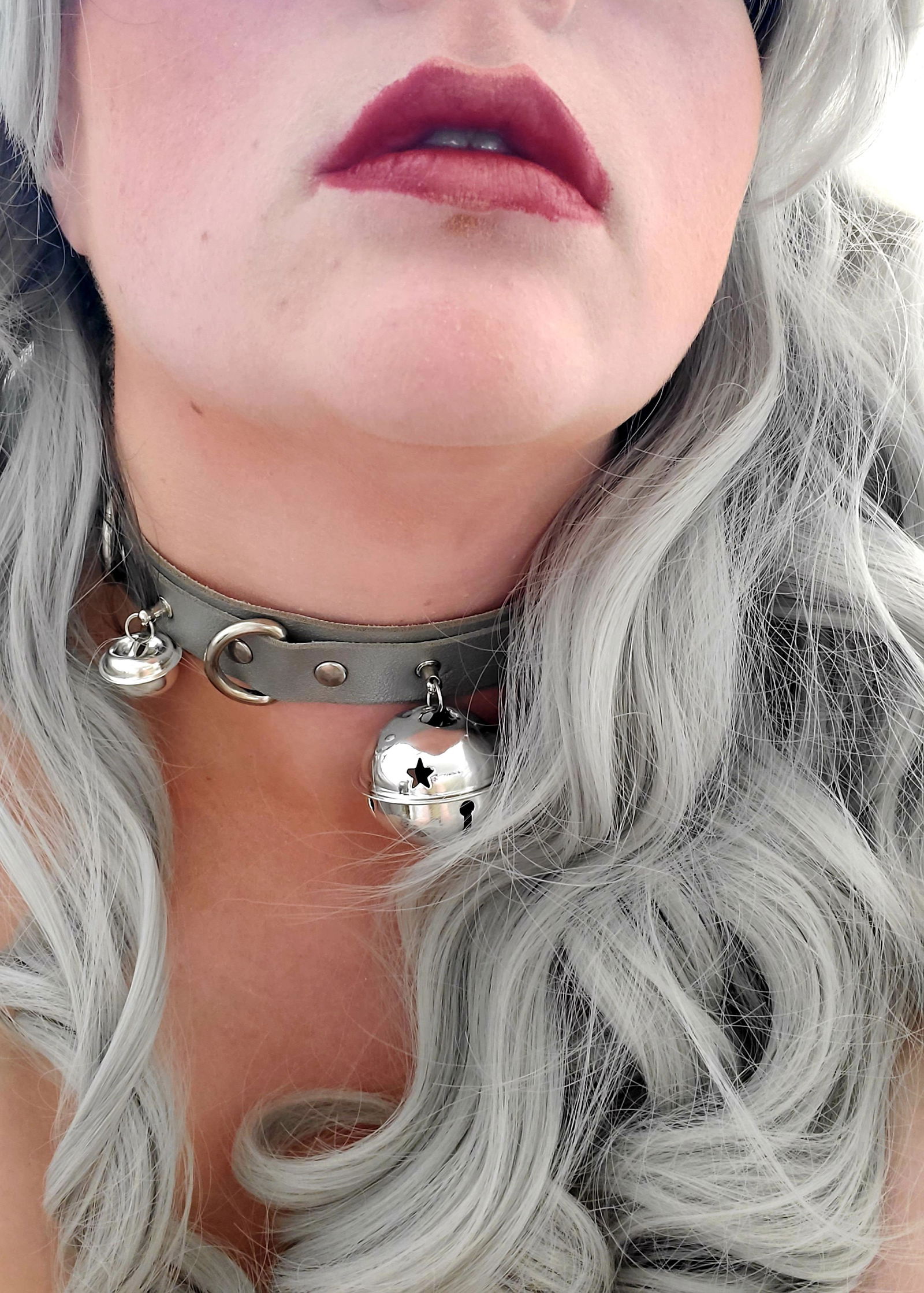 Vulpe Argent