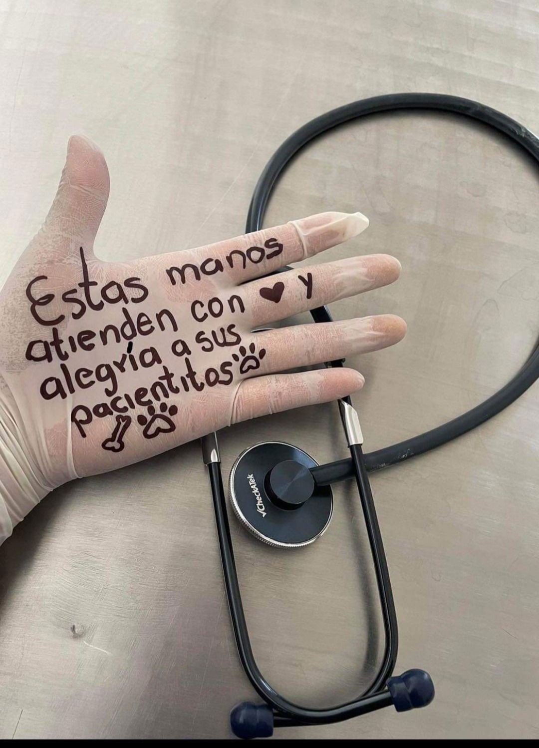 Dr Vet Estefany's avatar