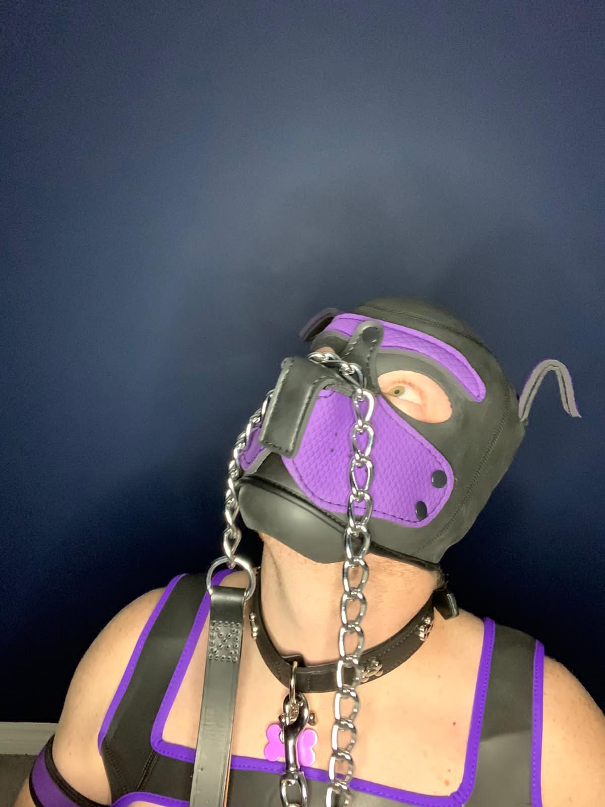 Maximus_pup's avatar
