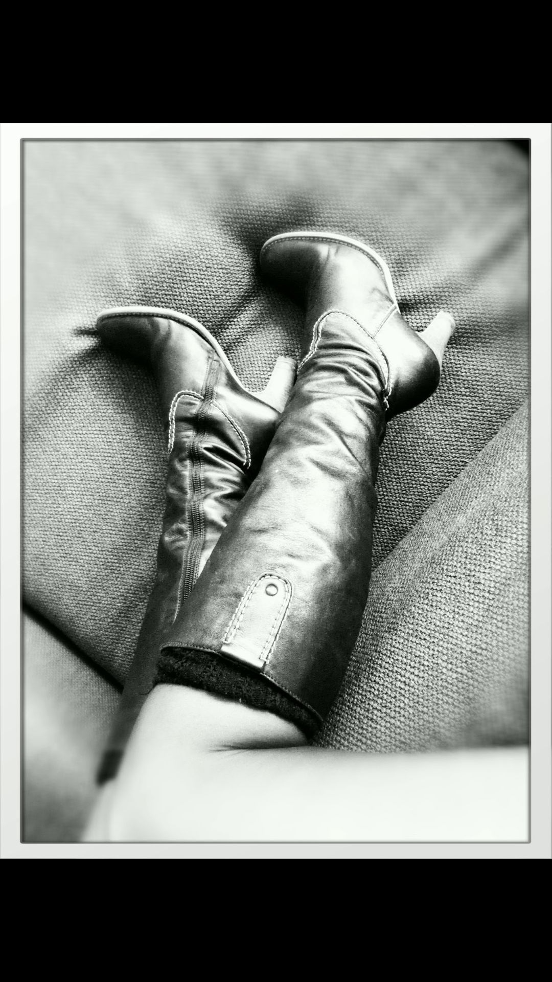 Pashoenated's avatar