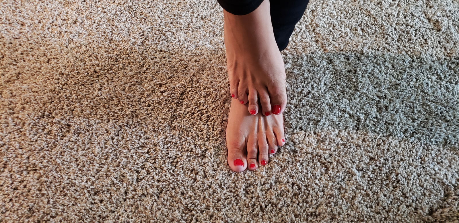 Tiffani Tootsie's avatar