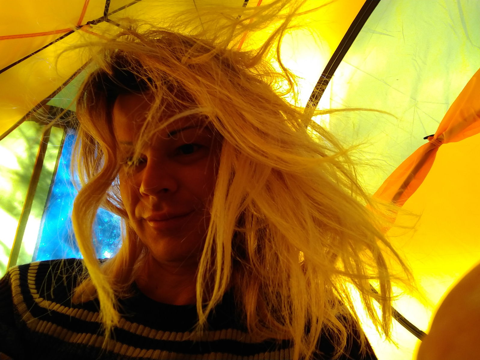 kim passable's avatar