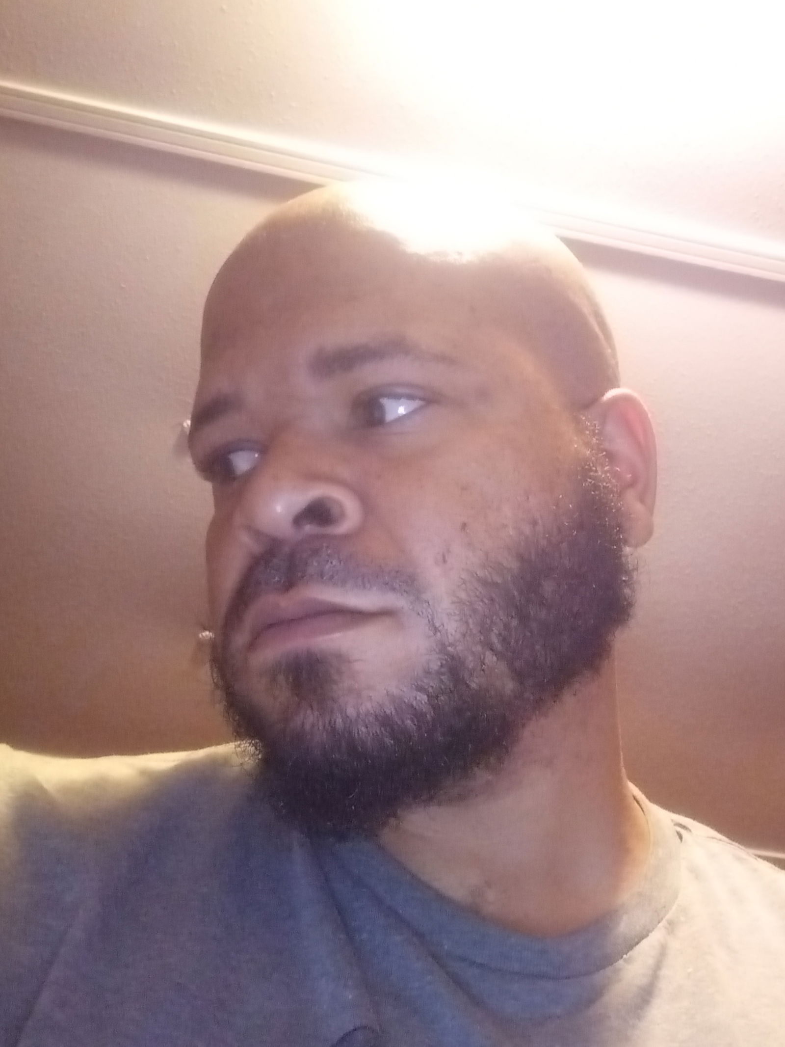 u178491464's avatar