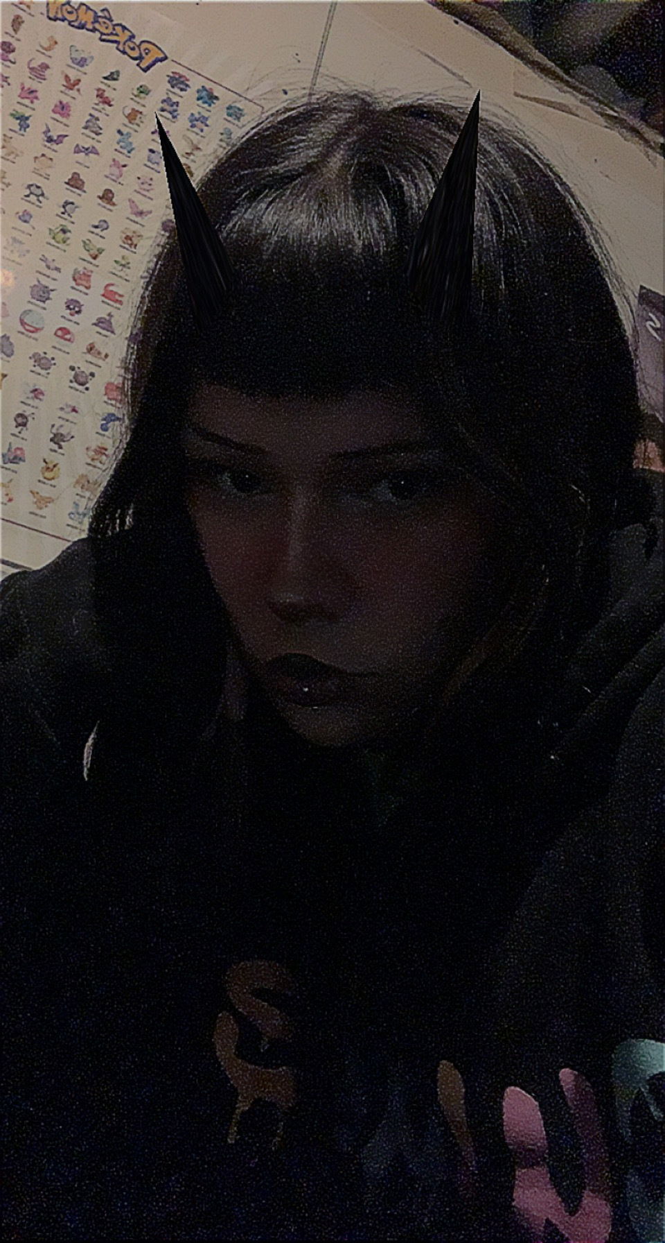 Untitledbunny
