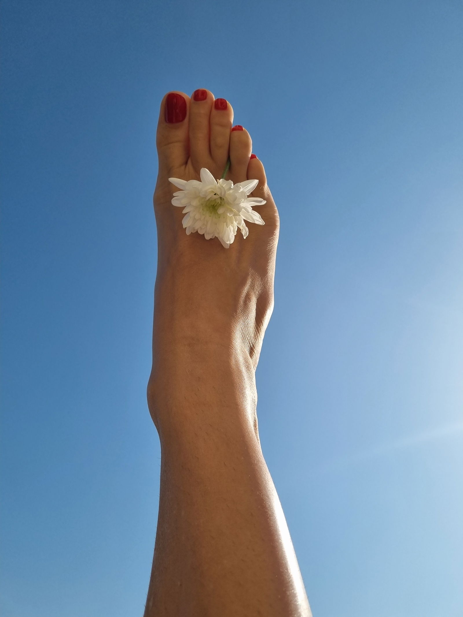 barefootprincess's avatar