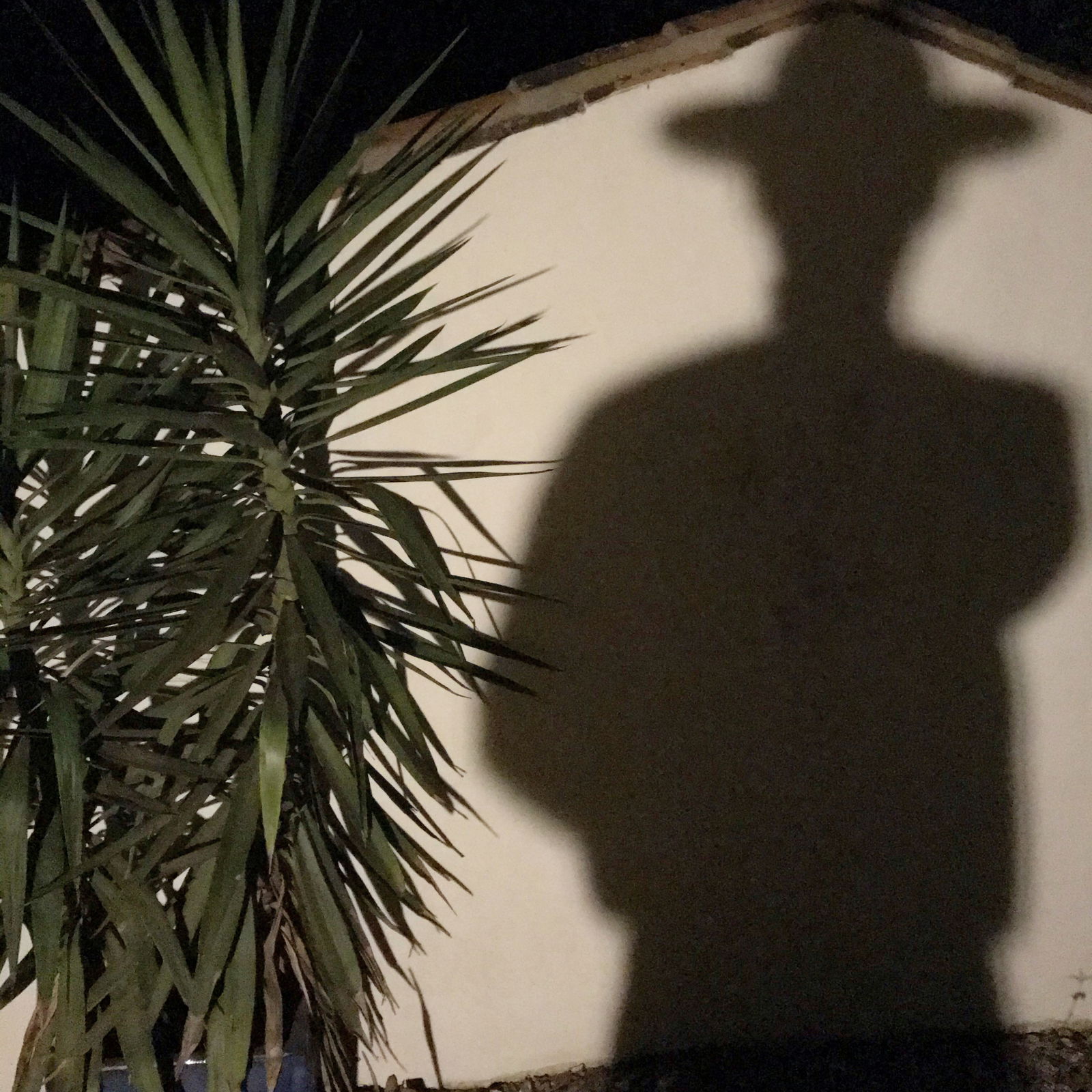 Cheau's avatar