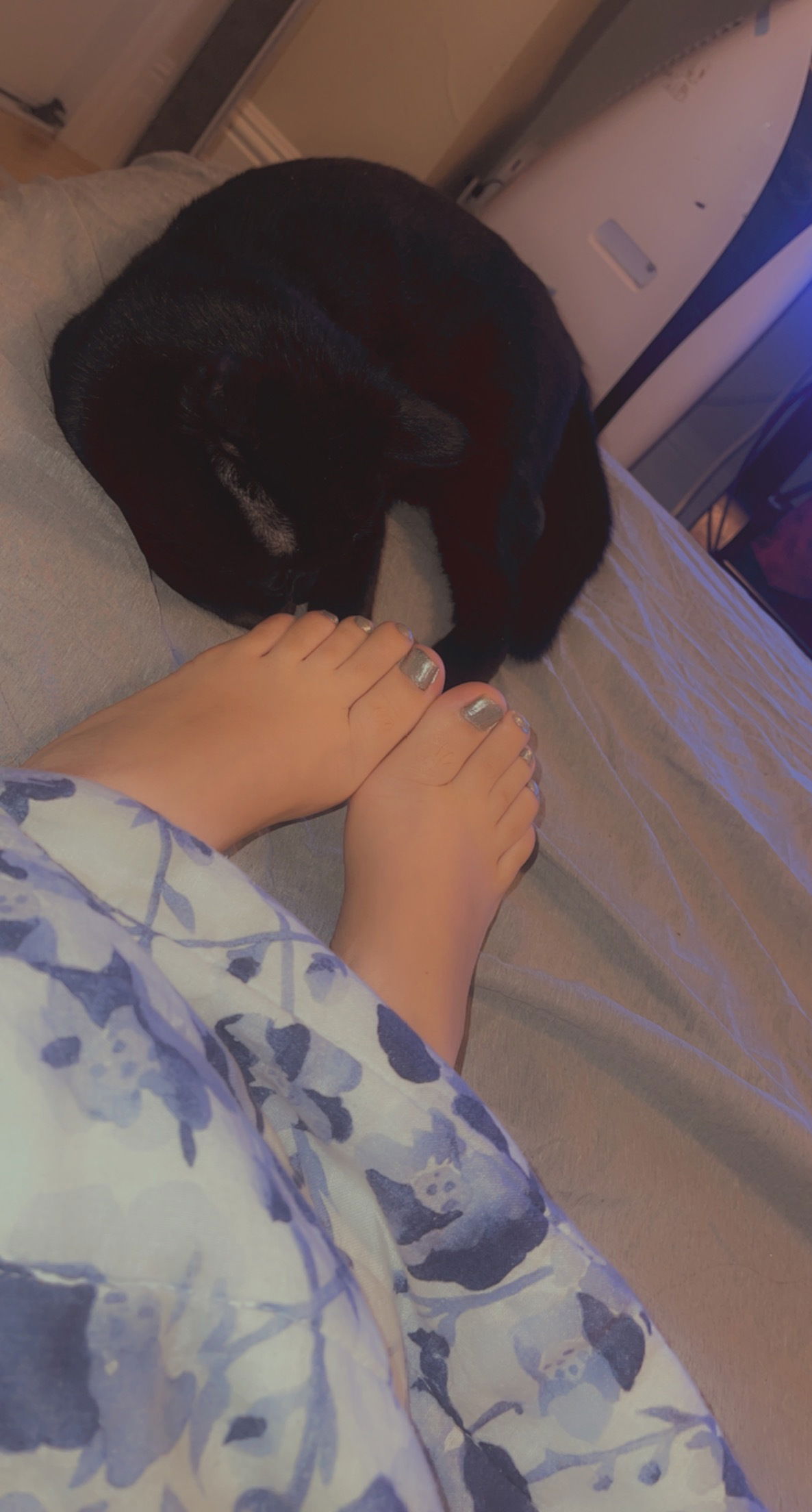 Feet and Art's avatar