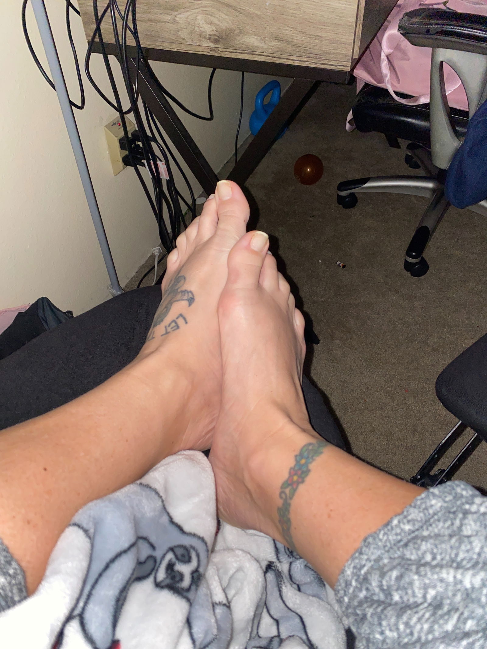 Midwest GILF's avatar