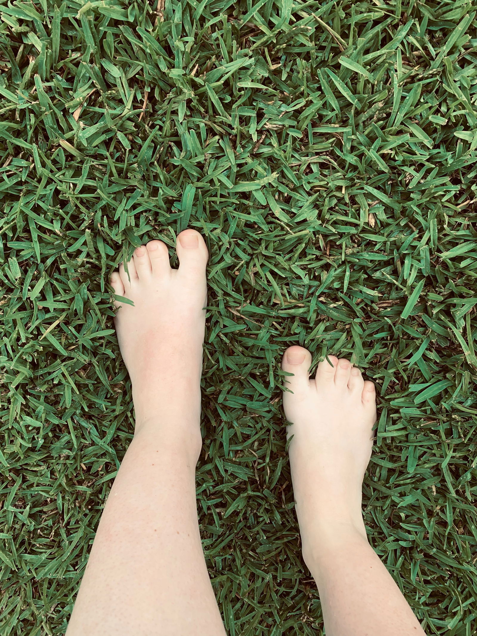 Lana 👣's avatar