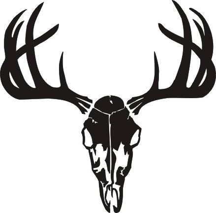 CJ's avatar