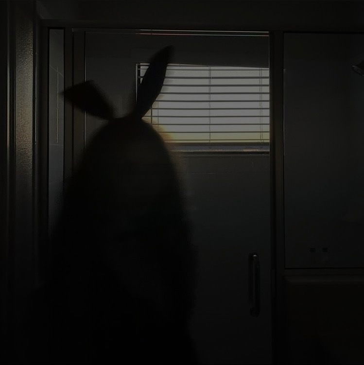 Bunny babe's avatar