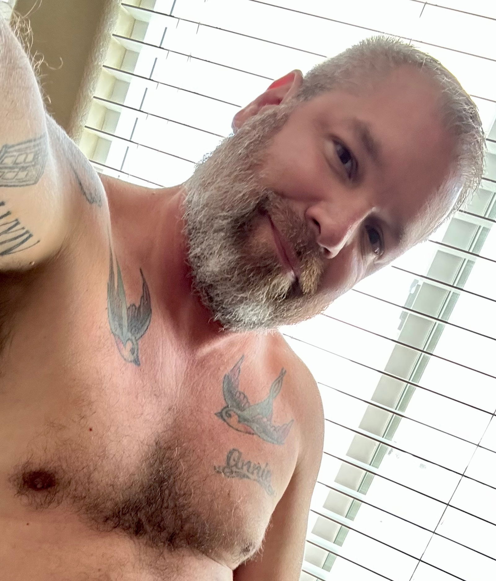VegasDaddyBear's avatar