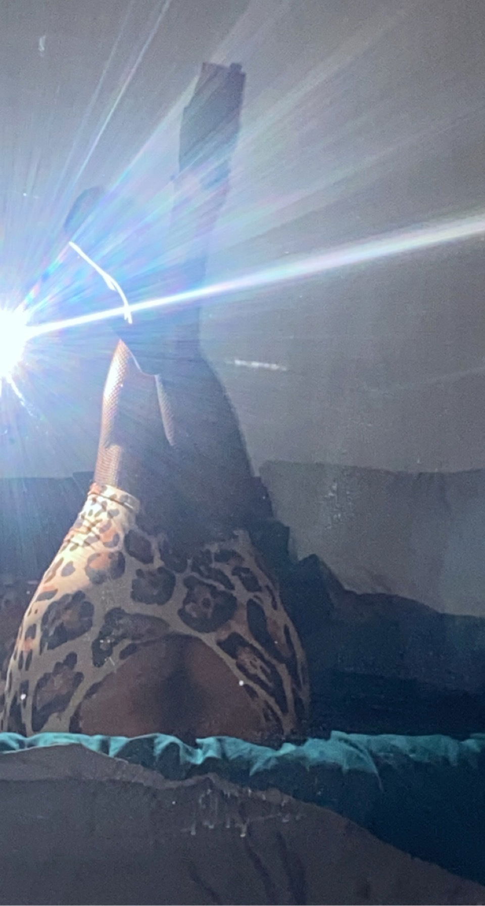 Velvetmermaid's avatar