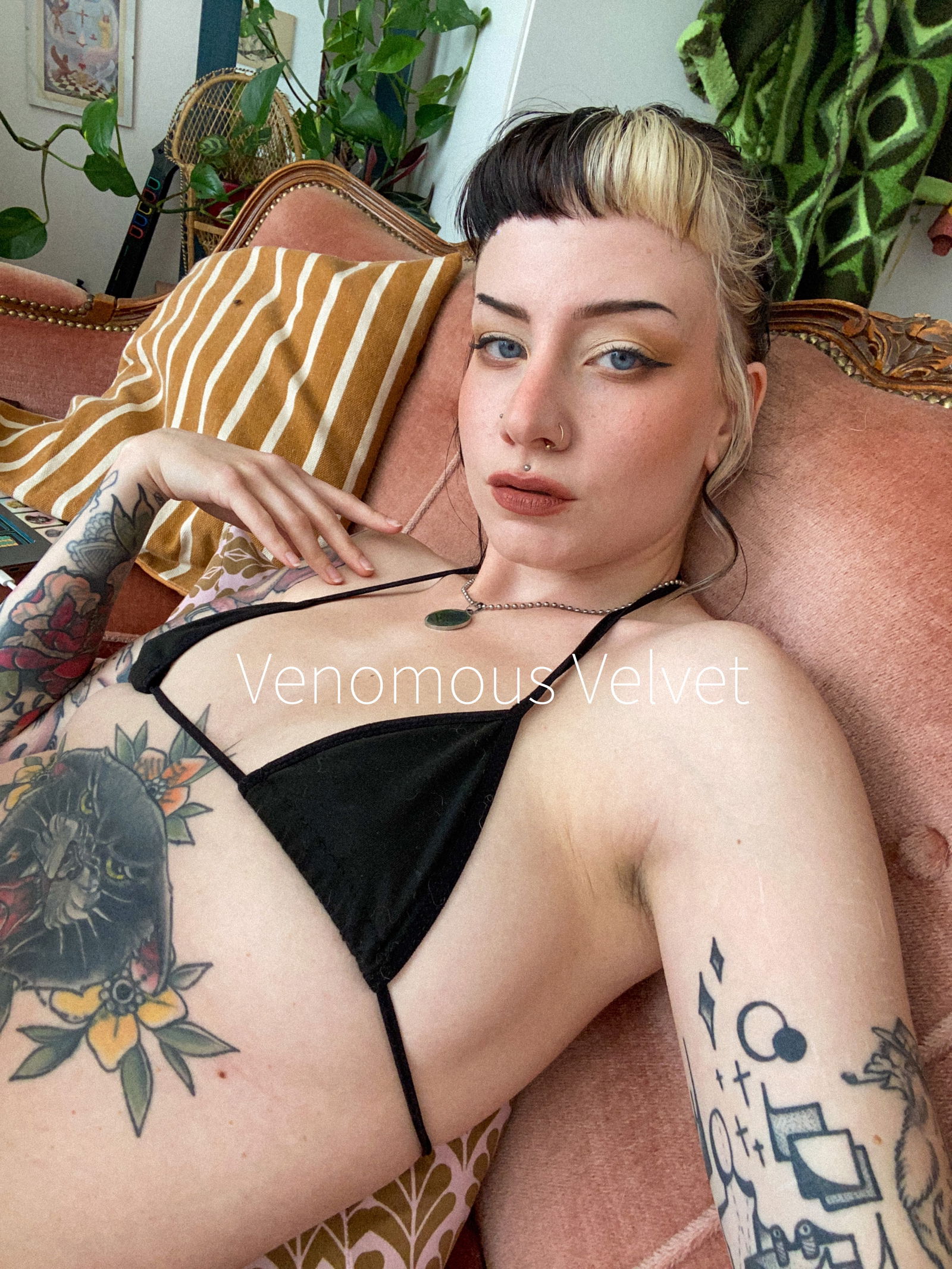 Venomous Velvet's avatar
