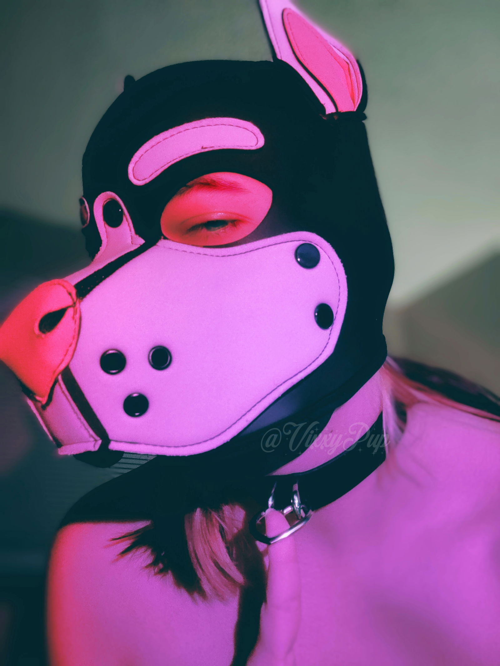 Vixxy ☾'s avatar