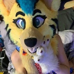Naughty Folf💙's avatar