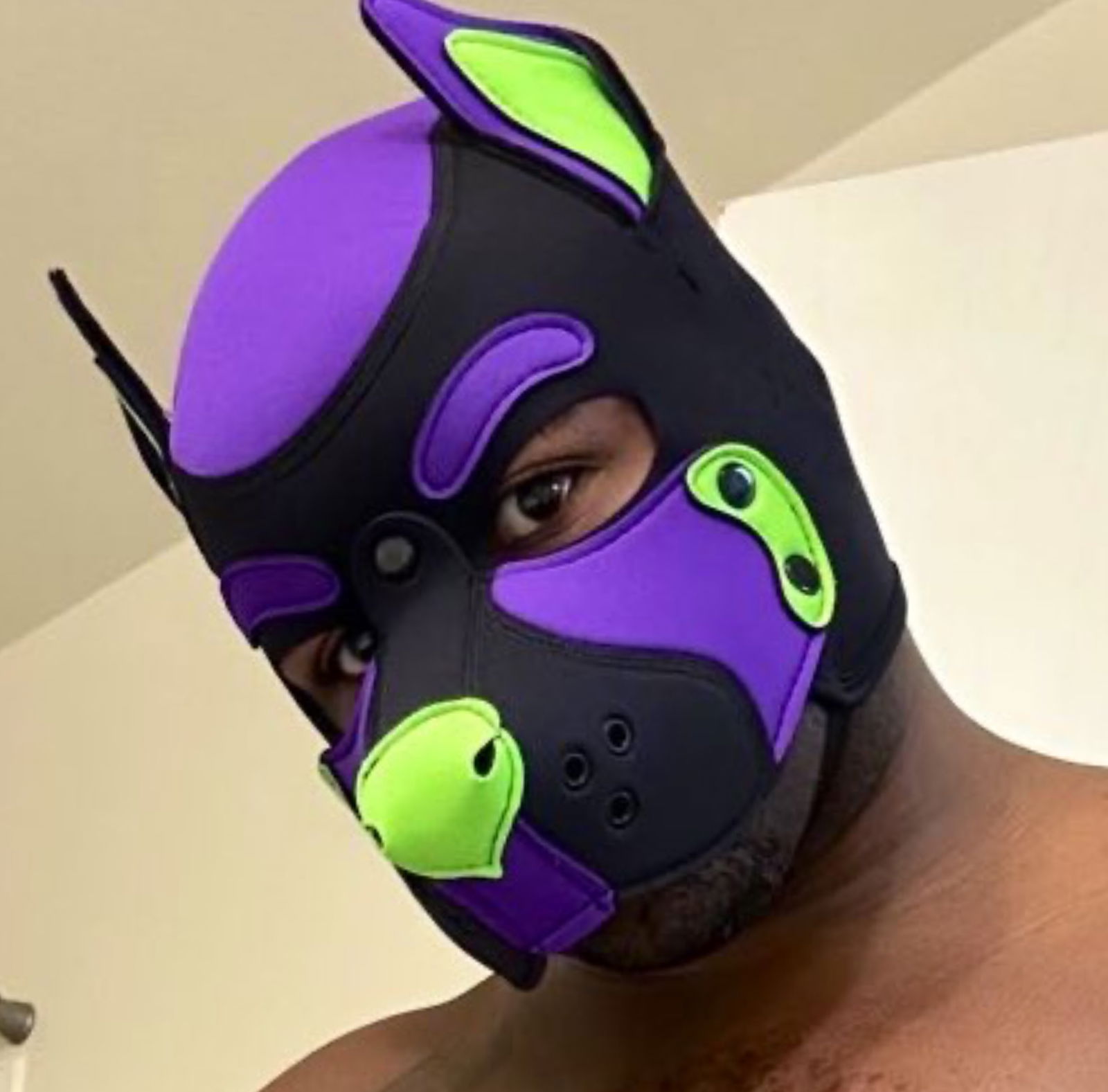 Pup Vortex, The Microwavable Thotpocket's avatar